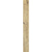 Elysium - Planches 8 in. x 71 in. Porcelain Tile - Miel