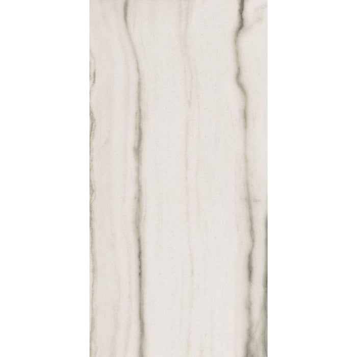 Elysium - Prexious - 24 in. x 48 in. Matte Rectified Porcelain Tile - White Fantasy