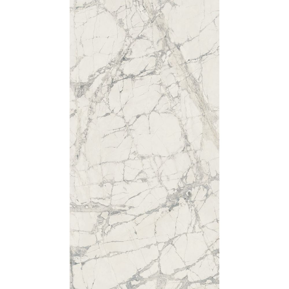 Elysium - Prexious - 24 in. x 48 in. Glossy Rectified Porcelain Tile - Mountain Treasure