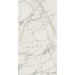 Elysium - Prexious - 24 in. x 48 in. Glossy Rectified Porcelain Tile - Mountain Treasure