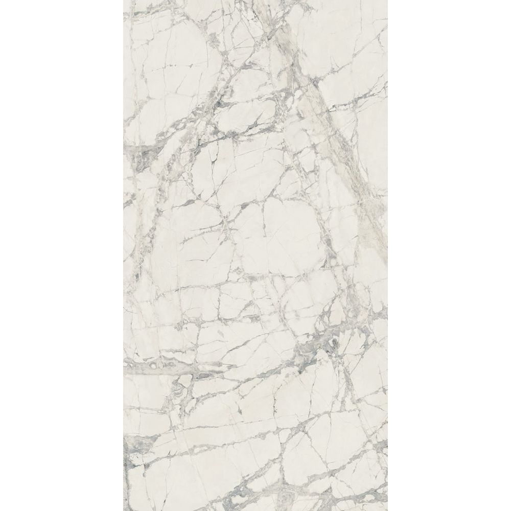 Elysium - Prexious - 24 in. x 48 in. Matte Rectified Porcelain Tile - Mountain Treasure