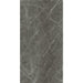 Elysium - Prexious - 24 in. x 48 in. Glossy Rectified Porcelain Tile - Charming Amber