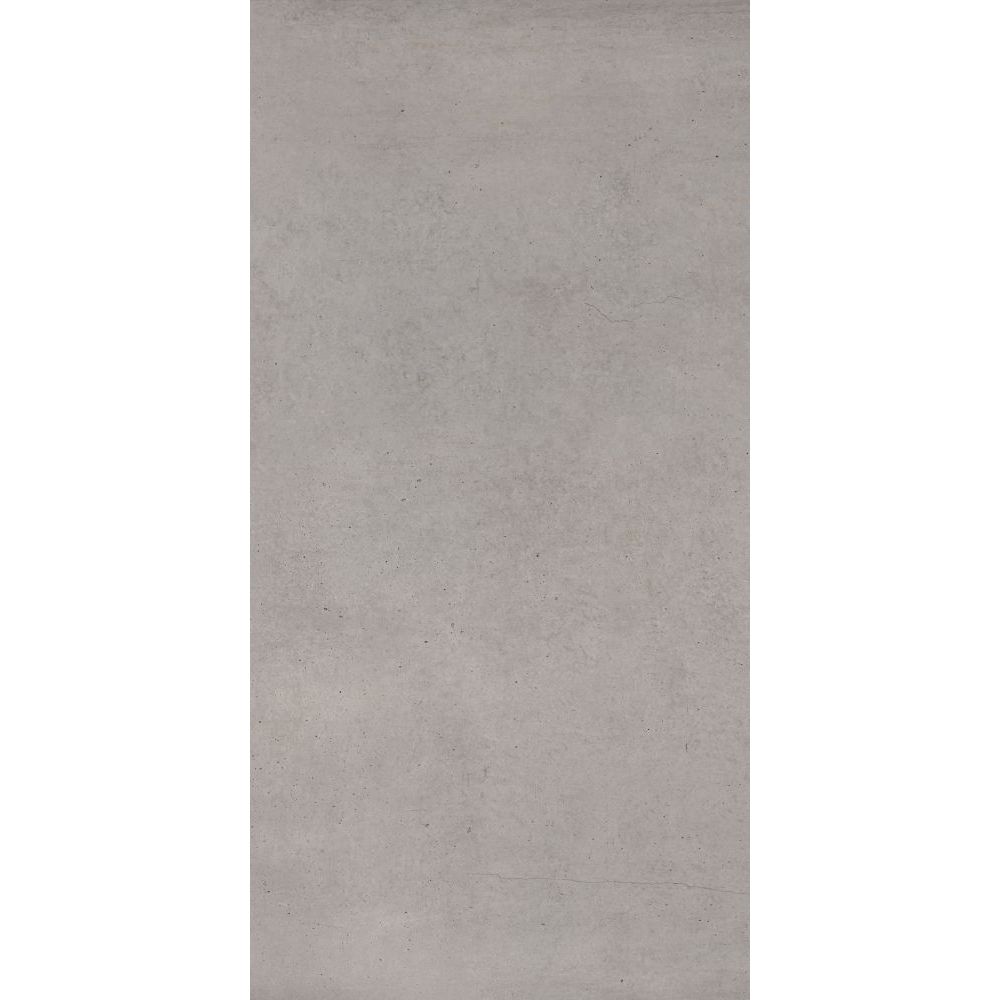 Elysium - Plain Series - 24 in. x 48 in. Matte Rectified Porcelain Tile - Nickel