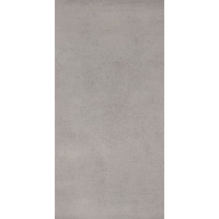 Elysium - Plain Series - 24 in. x 48 in. Matte Rectified Porcelain Tile - Nickel