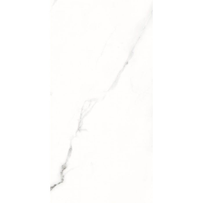 Elysium - AGL 12 in. x 24 in. Polished Rectified Porcelain Tile - Statuario