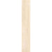 Elysium - 4EVER Series - 8 in. x 48 in. Saw-Cut Rectified Porcelain Tile - Steam