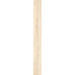 Elysium - 4EVER Series - 8 in. x 72 in. Matte Rectified Porcelain Tile - Steam