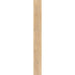 Elysium - 4EVER Series - 8 in. x 72 in. Matte Rectified Porcelain Tile - Natural