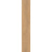 Elysium - 4EVER Series - 8 in. x 48 in. Saw-Cut Rectified Porcelain Tile - Havana