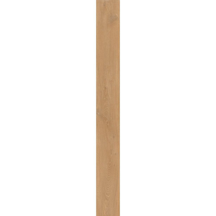 Elysium - 4EVER Series - 8 in. x 72 in. Matte Rectified Porcelain Tile - Havana