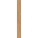 Elysium - 4EVER Series - 8 in. x 72 in. Matte Rectified Porcelain Tile - Havana