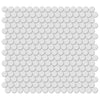 See Tesoro Collection - Soho Series - 0.75 in. Penny Mosaic - Matte Gallery Grey