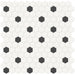 Tesoro Collection - Soho Series - 1 in. Hex Mosaic - Matte White with Retro Black