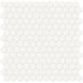 Tesoro Collection - Soho Series - 1 in. Hex Mosaic - Matte Canvas White