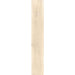 Elysium - 4EVER Series - 8 in. x 48 in. Matte Rectified Porcelain Tile - Steam