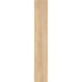 Elysium - 4EVER Series - 8 in. x 48 in. Matte Rectified Porcelain Tile - Natural
