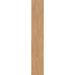 Elysium - 4EVER Series - 8 in. x 48 in. Matte Rectified Porcelain Tile - Havana