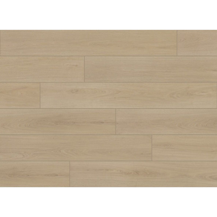 Aquashield - Aquashield Estate Collection 9 in. x 60 in. Laminate - Stetson