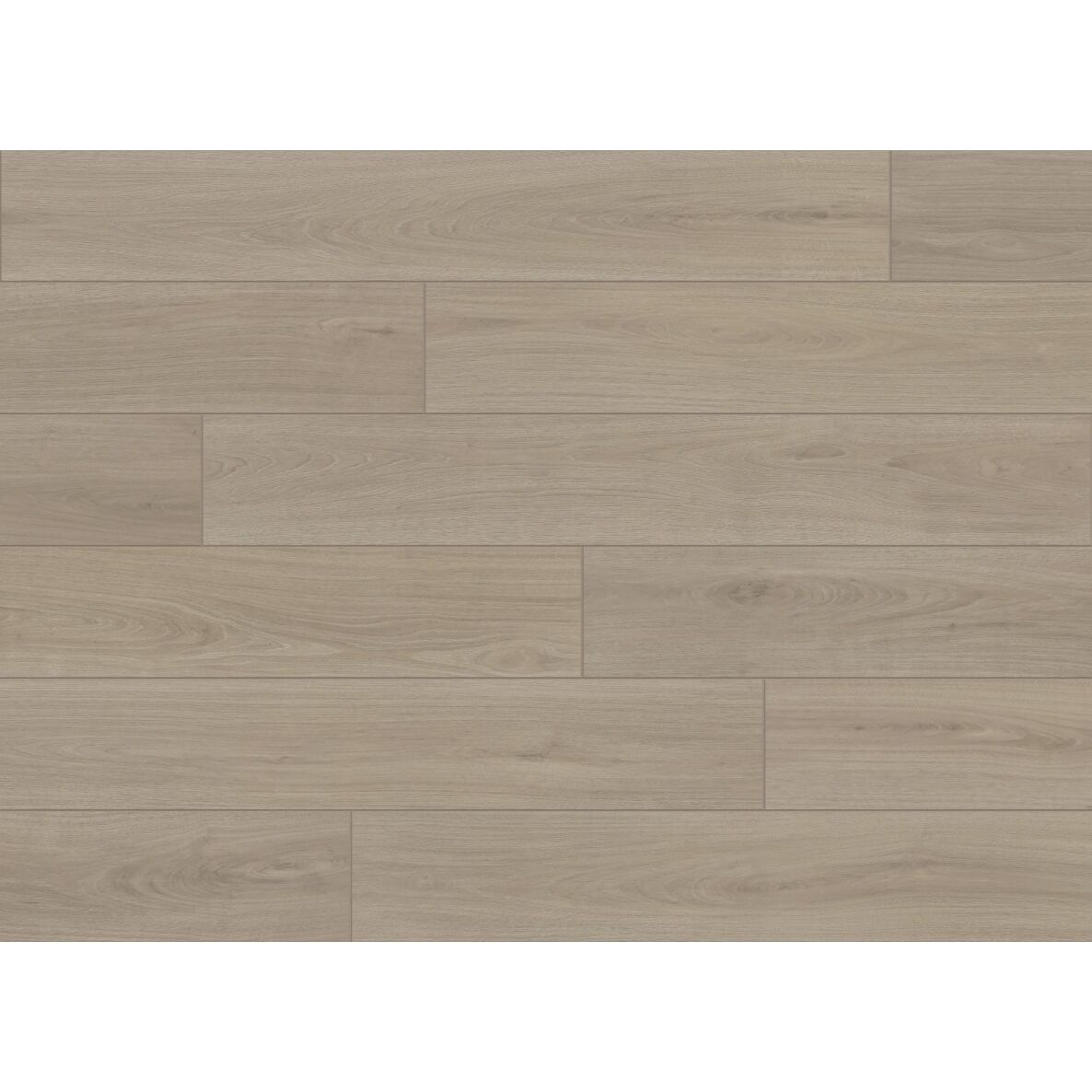 Aquashield - Aquashield Estate Collection 9 in. x 60 in. Laminate - Graceland