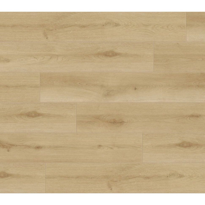 Aquashield - Aquashield Estate Collection 9 in. x 60 in. Laminate - Monticello