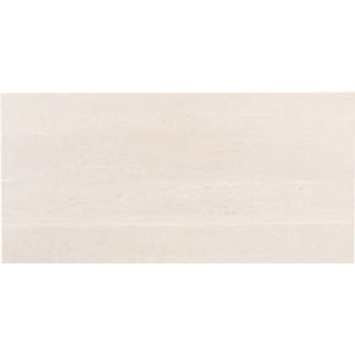 Tesoro - Adrock Series - 12 in. x 24 in. Matte Porcelain Tile - Frost