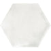 Bellagio - Martha's Manor Collection - 4" x 5" Ceramic Hex Tile - Cottontail