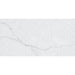 Tesoro - Terreno Series - 12 in. x 24 in. Glossy Porcelain Tile - Marble Bloom