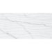 Tesoro - Terreno Series - 12 in. x 24 in. Glossy Porcelain Tile - Marble Flow