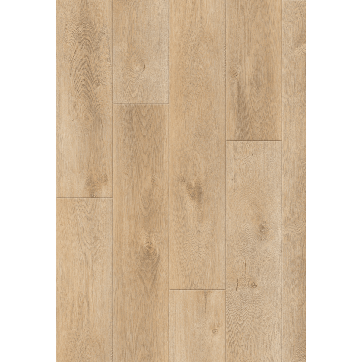 Resolve - 8.0 Series - 9