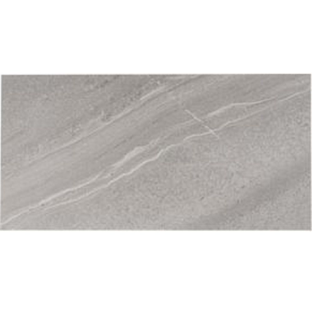 Tesoro - Adrock Series - 12 in. x 24 in. Matte Porcelain Tile - Nickel