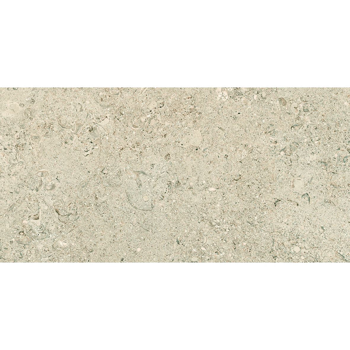 Tesoro - Shellstone Series - 24 in. x 48 in. Rectified Porcelain Tile ...