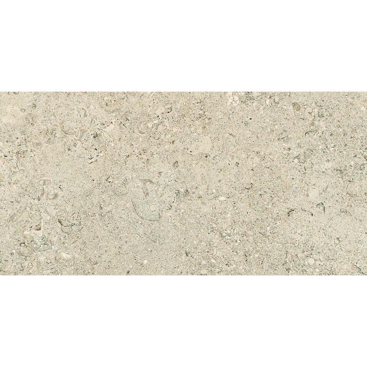 Tesoro - Shellstone Series - 24 in. x 48 in. Rectified Porcelain Tile - Amber