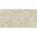 Tesoro - Shellstone Series - 24 in. x 48 in. Rectified Porcelain Tile - Amber