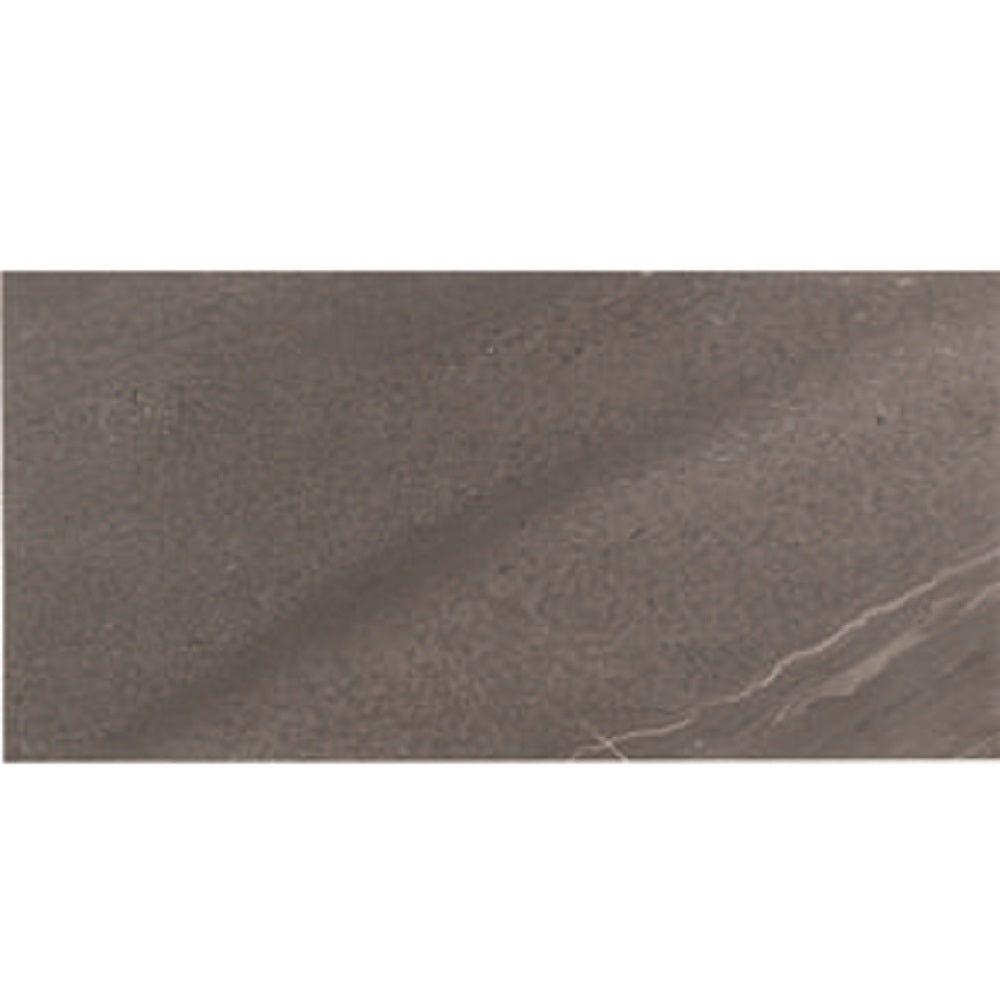 Tesoro - Adrock Series - 12 in. x 24 in. Matte Porcelain Tile - Shadow