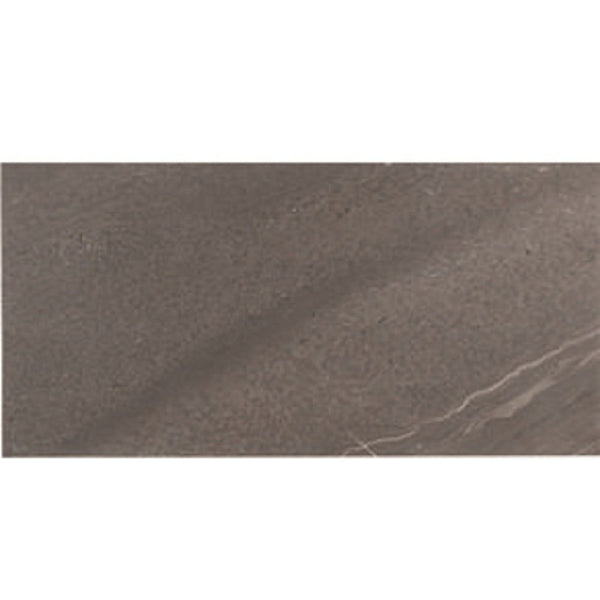 Tesoro - Adrock Series - 12 in. x 24 in. Matte Porcelain Tile - Shadow ...