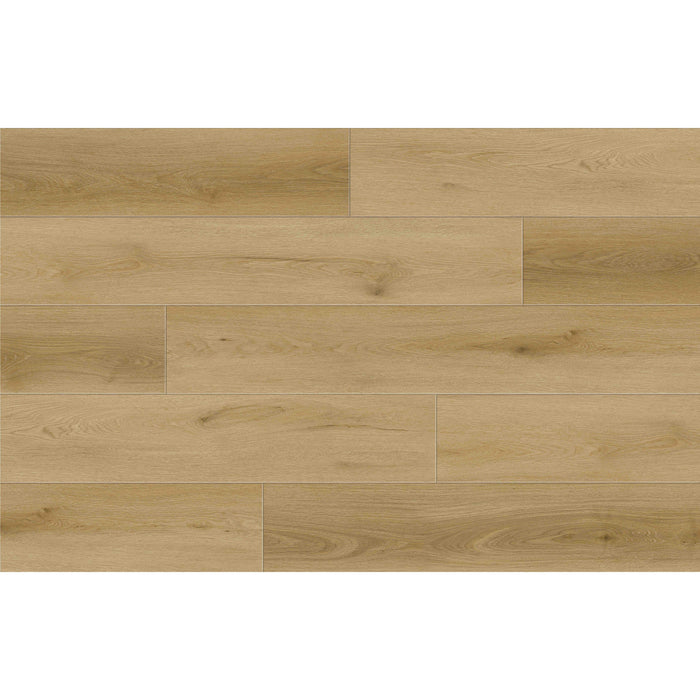 Diamond Surfaces - Aquashield HD Collection 9 in. x 60 in. Luxury Vinyl - Sierra Nevada