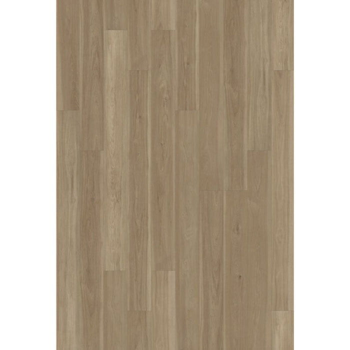 Compass Flooring - The Watershed Collection Laminate - Roanoke Hickory