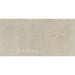 Daltile - Rekindle 24 in. x 48 in. Colorbody Porcelain Tile - Beige