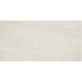 Daltile - Wanderwise - 12 in. x 24 in. - Matte Porcelain Tile - Swan