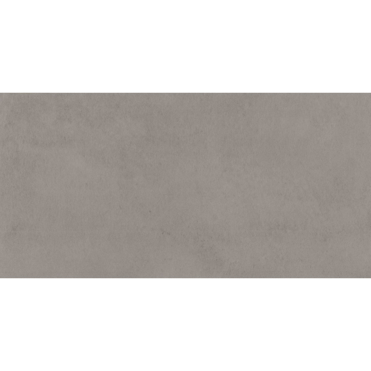 Daltile - Portfolio 12 in. x 24 in. Porcelain Tile - Ash Grey