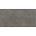Daltile - Portfolio 12 in. x 24 in. Porcelain Tile - Iron Grey