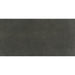 Daltile - Portfolio 12 in. x 24 in. Porcelain Tile - Charcoal