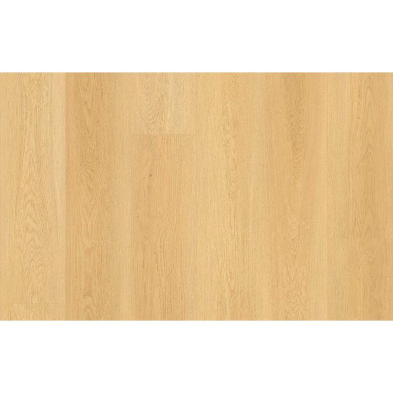 Lions Floor - BevelMark 9