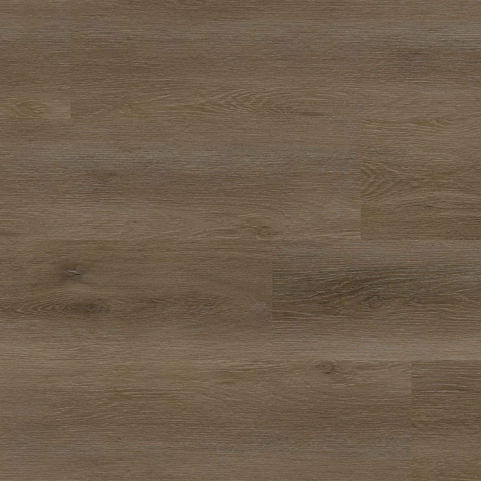 MSI - Rigid Core - Everlife Studio XL Series - Doack — Floorzz