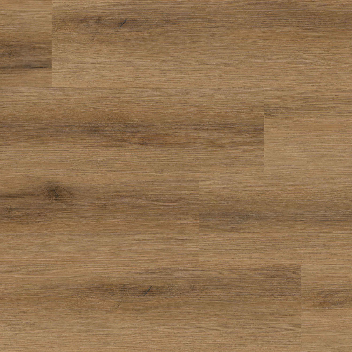 MSI - Rigid Core - Everlife Studio XL Series - Swilcan — Floorzz