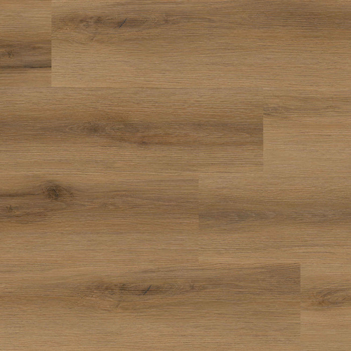 MSI - Rigid Core - Everlife Studio XL Series - Swilcan — Floorzz