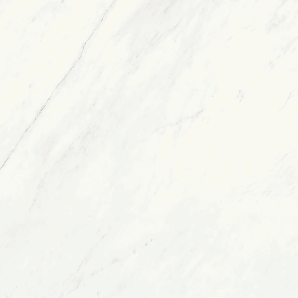 Bedrosians - Magnifica Nineteen Forty-Eight - 48&quot; x 48&quot; Glazed Porcelain Tile - Luxe White Polished