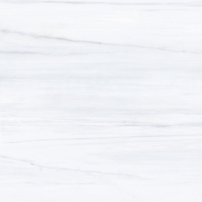 Elysium - Dolomite Supreme - 36 in. x 36 in. Polished Rectified Porcelain Tile - AN Dolomite