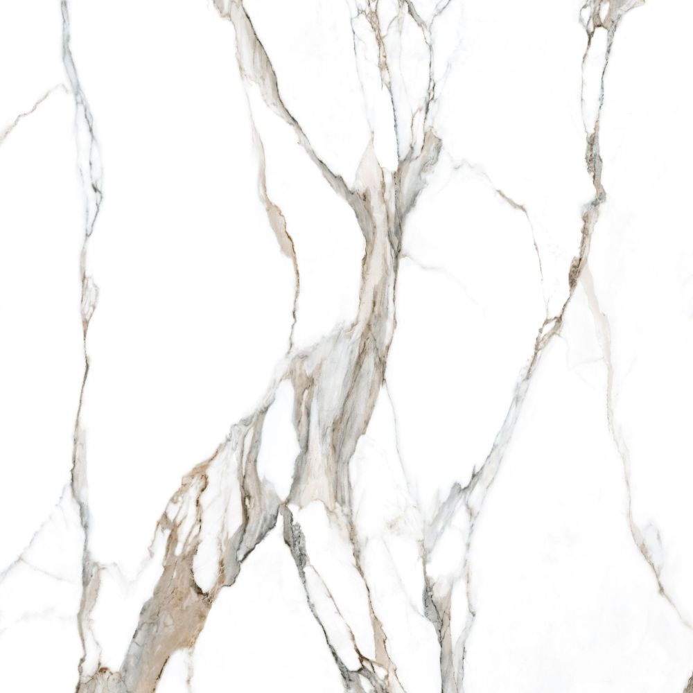 Elysium - Calacatta Fantasy 48 in. x 48 in. Porcelain Tile - Topo