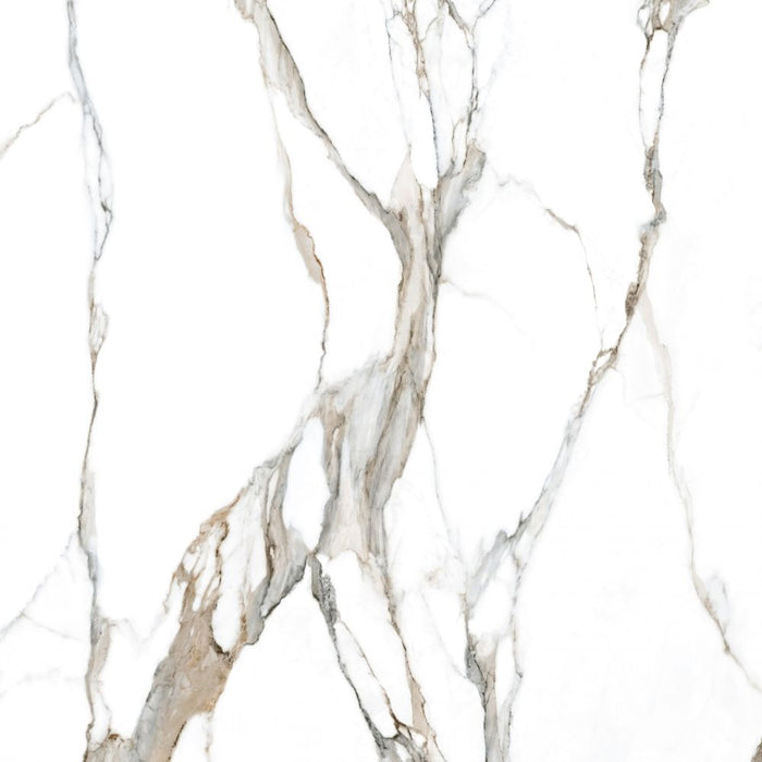 Elysium - Calacatta Fantasy 48 in. x 48 in. Porcelain Tile - Topo